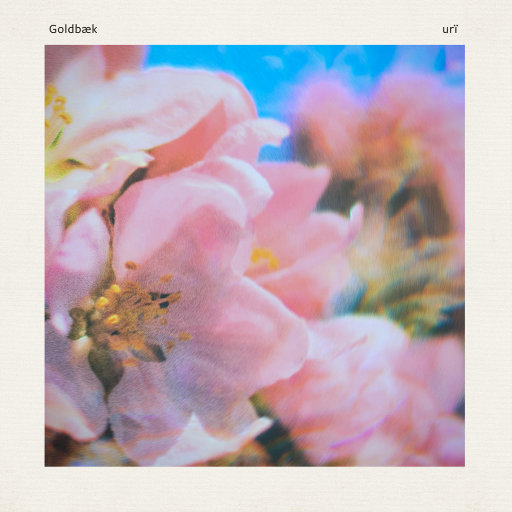 用花洒冲她尿孔play
